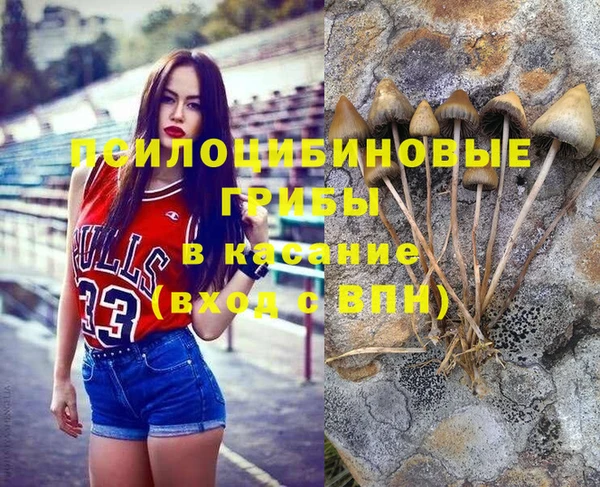 ешки Волосово