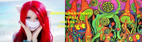 ешки Волосово