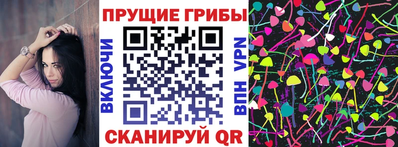 наркотики  Ржев  Псилоцибиновые грибы мицелий 